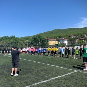 История Елены